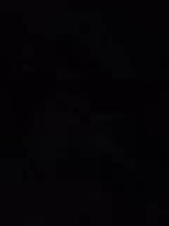 Pasha0864 Adult Chat November 29, 2025