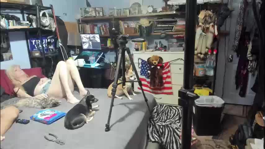 pink_black Adult Chat November 29, 2025