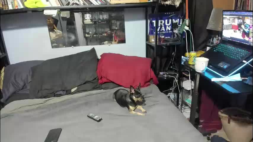 pink_black Adult Chat November 29, 2025