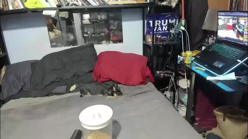 pink_black Adult Chat November 29, 2025