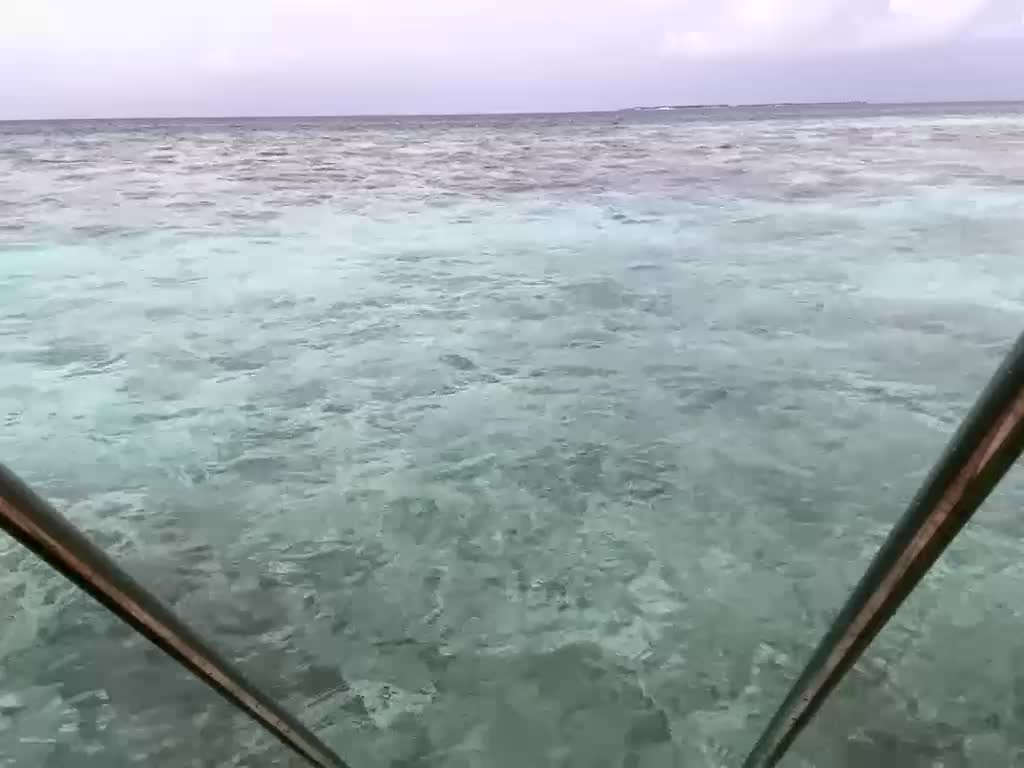 Taanni Adult Chat November 29, 2025