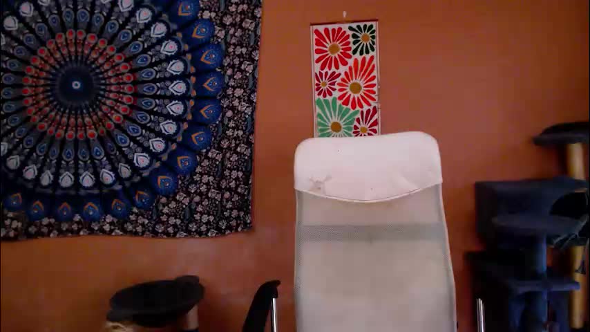 intimatetales Adult Chat November 29, 2025