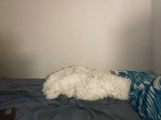 Lisa-5329 Adult Chat November 30, 2025