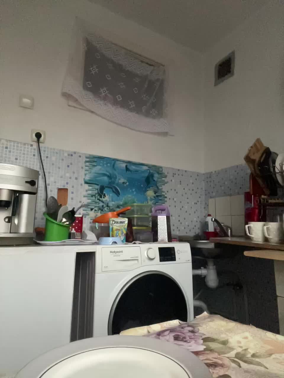 NeZabudka- Adult Chat November 30, 2025