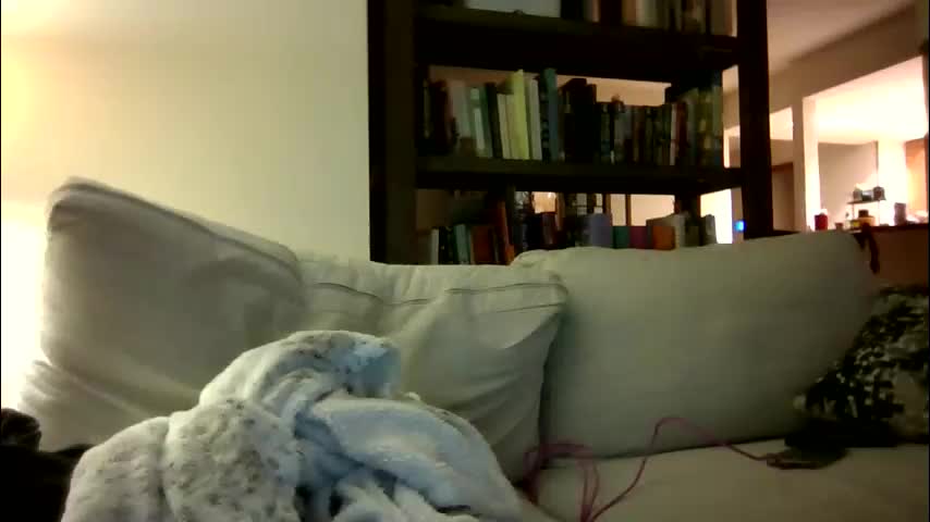 skywinters Adult Chat November 30, 2025