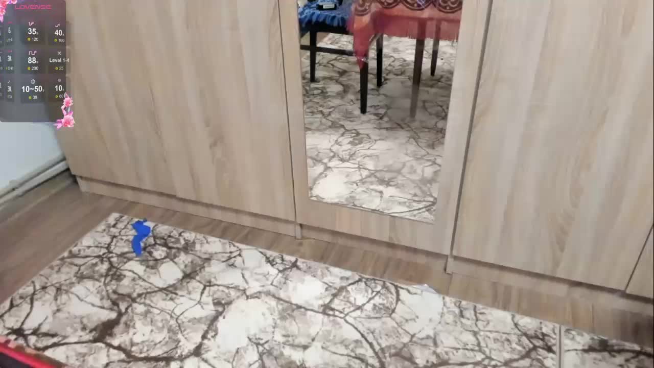 S-O-F-I-A Adult Chat November 30, 2025