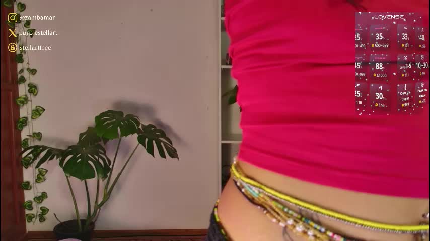 stellart_ Adult Chat November 30, 2025