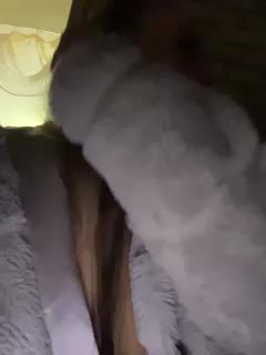 sweet1squirt Adult Chat November 30, 2025