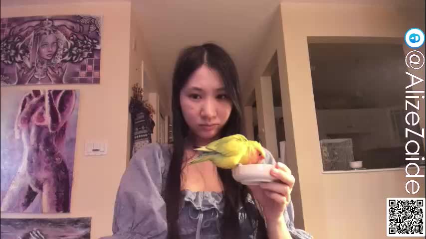 alizezaide Adult Chat December 1, 2025