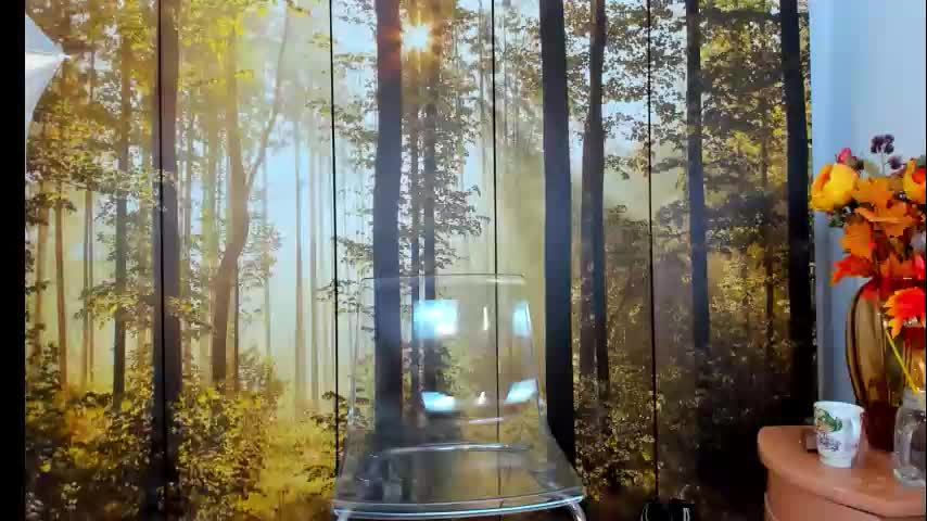 viciousqueen Adult Chat December 1, 2025