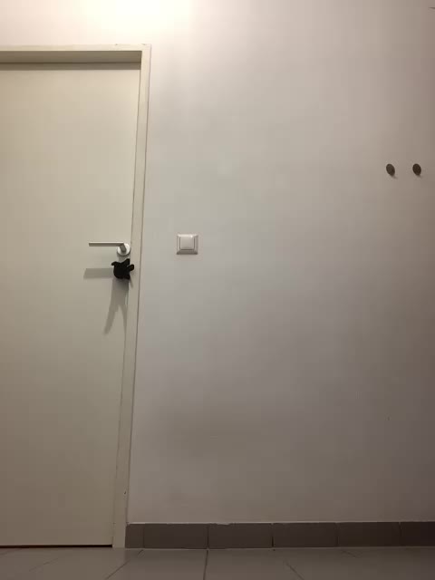 Marakuya16 Adult Chat December 1, 2025