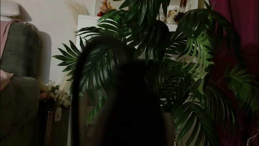 imcarrieberry Adult Chat December 1, 2025