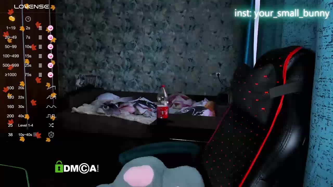 your-small-bunny Adult Chat December 1, 2025