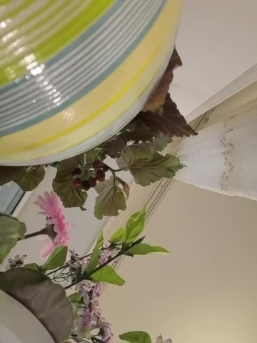 Napoliana Adult Chat December 1, 2025