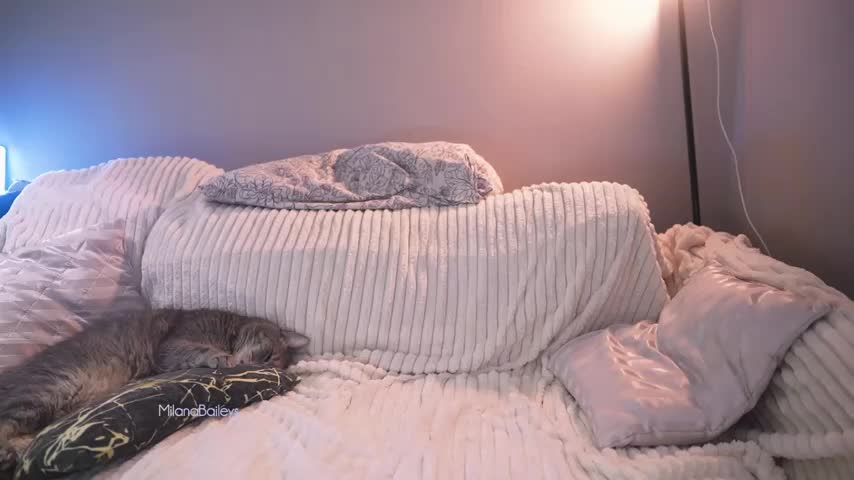 milanabaileys_ Adult Chat December 1, 2025