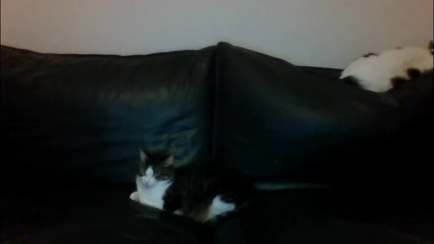 milagaborxx Adult Chat December 2, 2025