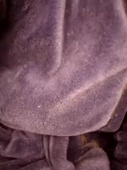 KissMiSveet Adult Chat December 1, 2025