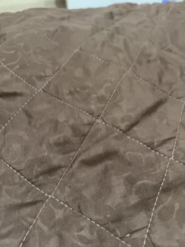 Taisia_W Adult Chat December 2, 2025