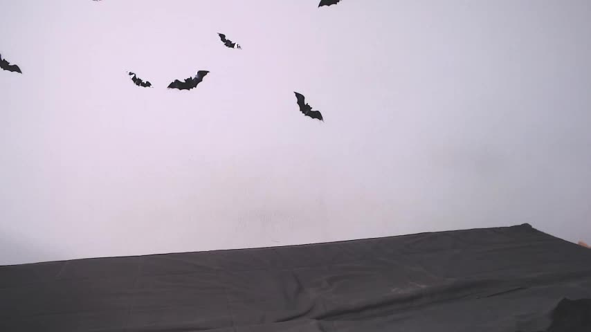 litle_owl Adult Chat December 2, 2025