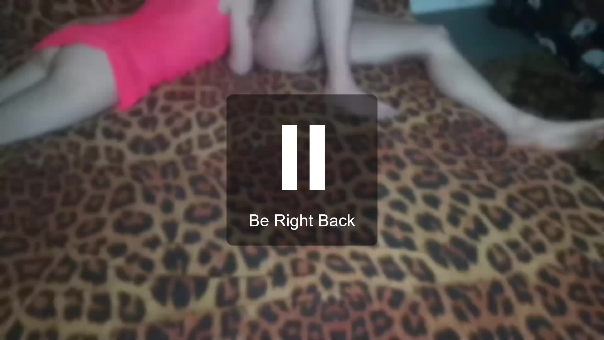 tichinkapestik Adult Chat December 2, 2025