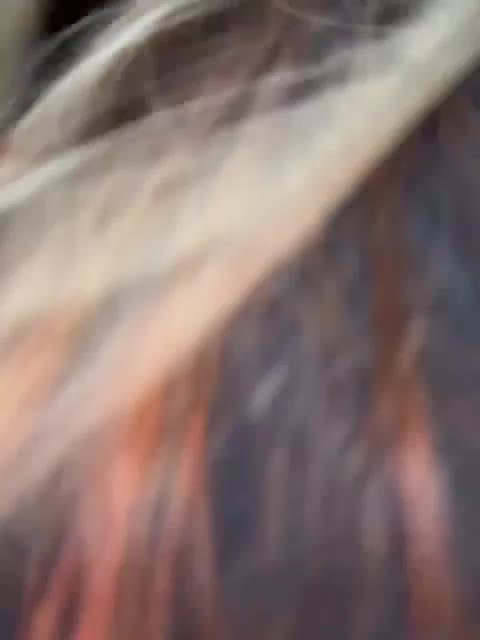 OrgazMia Adult Chat December 3, 2025