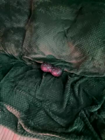 -Summer- Adult Chat December 3, 2025