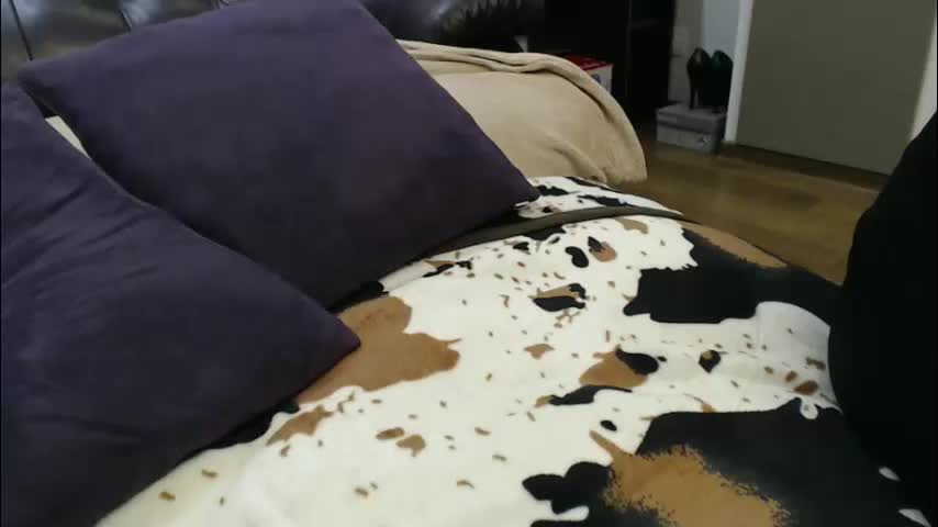 hot44cat Adult Chat December 3, 2025