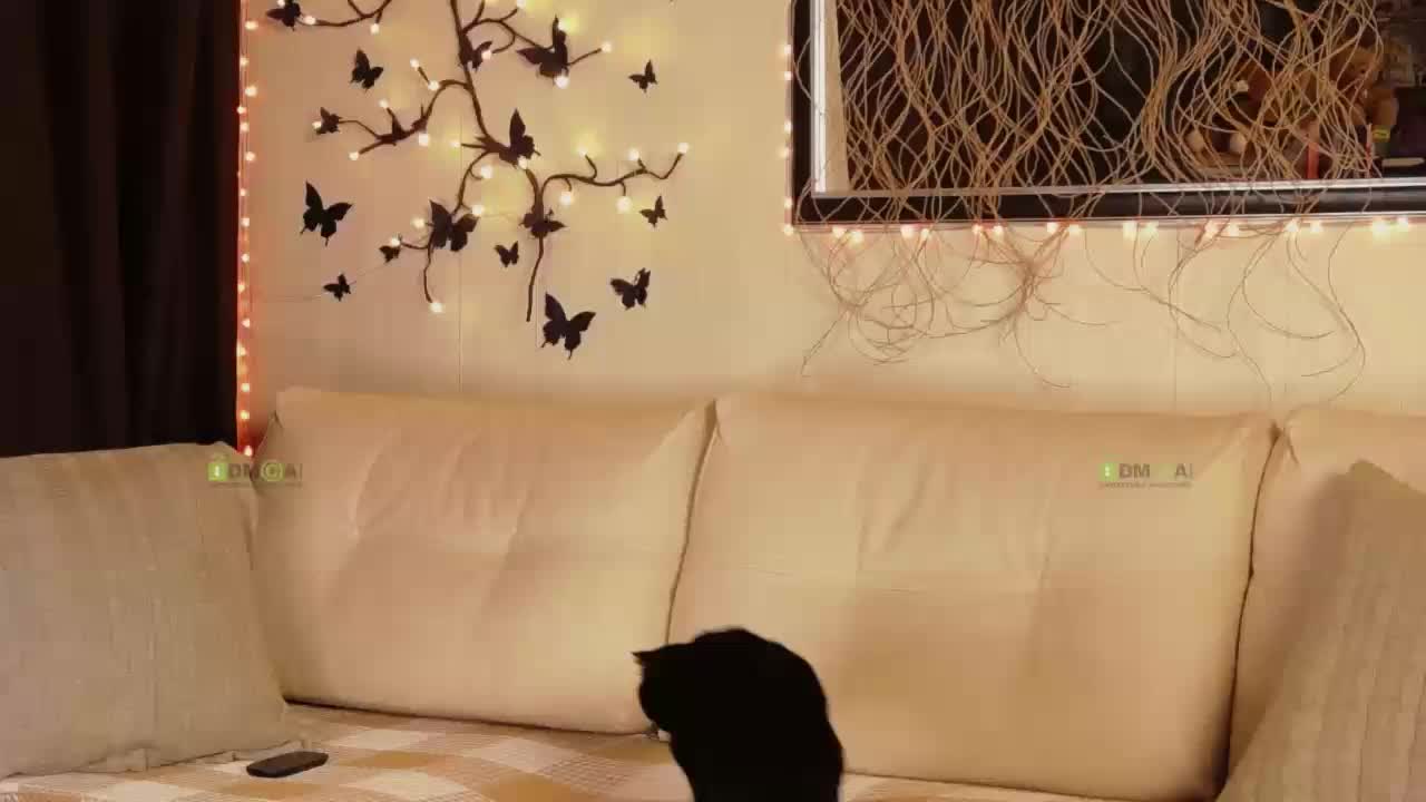 AlisaBun Adult Chat December 3, 2025