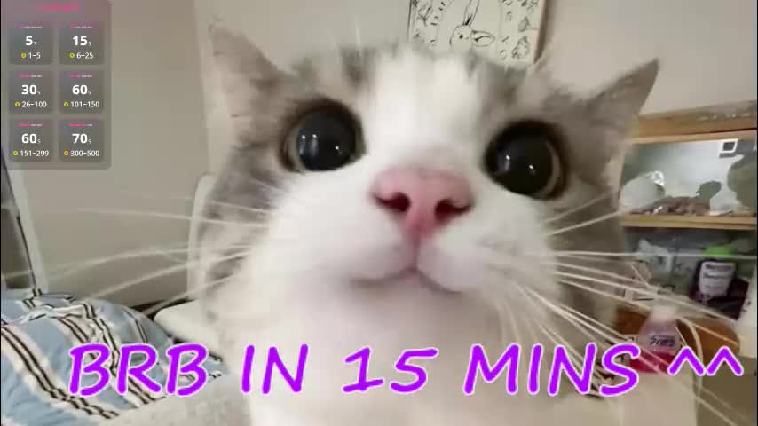 crazy__wine Adult Chat December 3, 2025