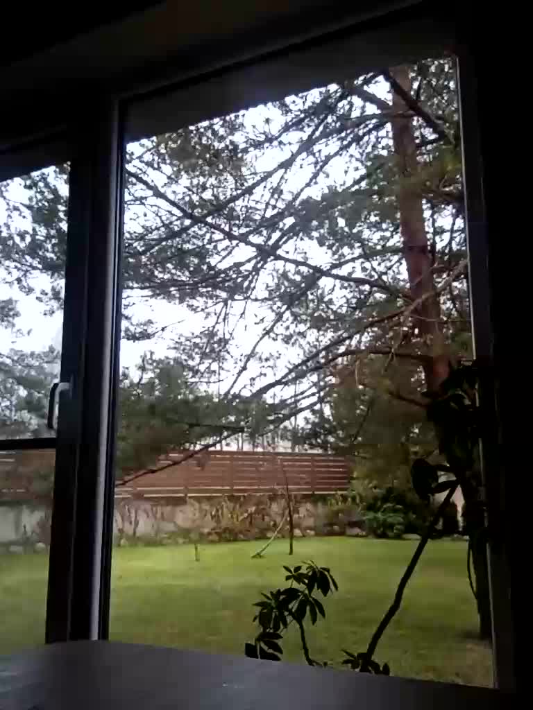 Krasotkas_duo Adult Chat December 3, 2025