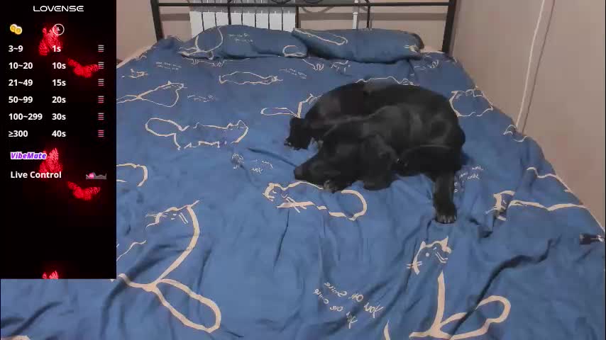 eva_zero Adult Chat December 3, 2025