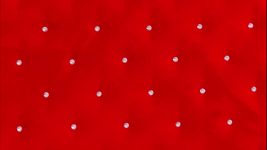 ellsa_jean Adult Chat December 3, 2025