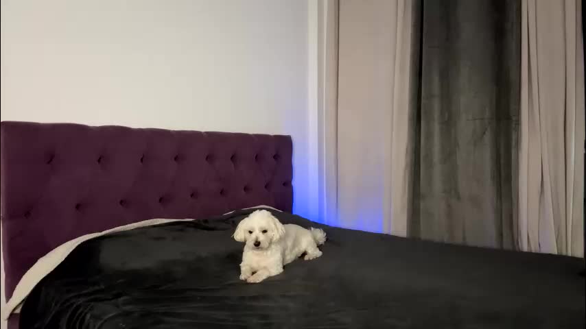 notamericanpie23 Adult Chat December 4, 2025