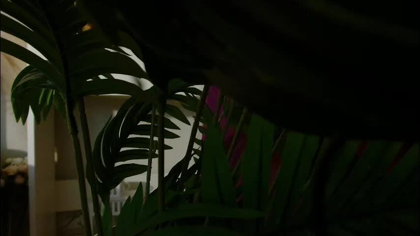 imcarrieberry Adult Chat December 4, 2025