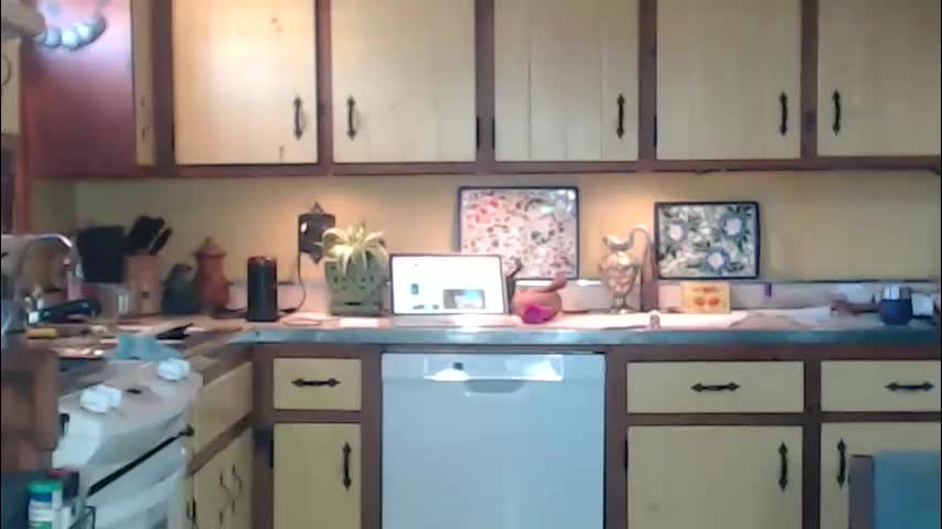 catalystic Adult Chat December 4, 2025