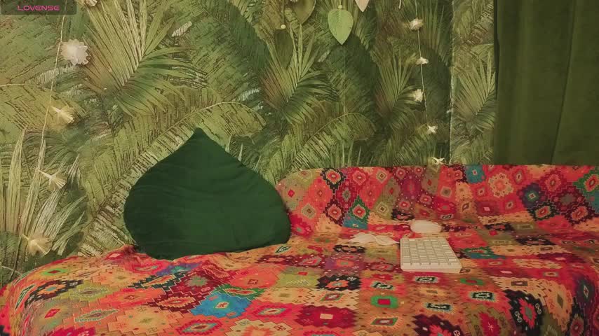 Meeeeow Adult Chat December 4, 2025