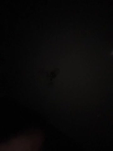 KisaZlo Adult Chat December 4, 2025