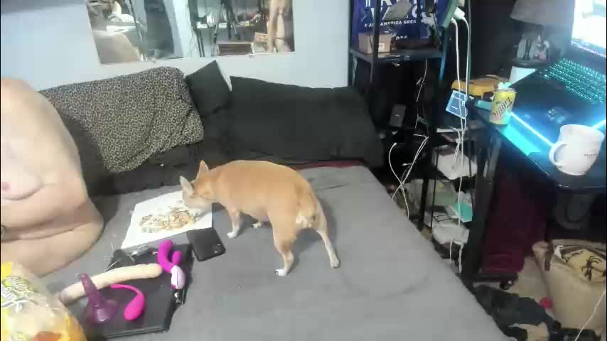 pink_black Adult Chat December 5, 2025