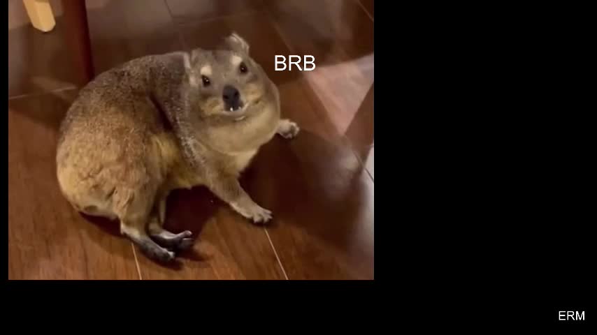 wyvernwench Adult Chat December 5, 2025