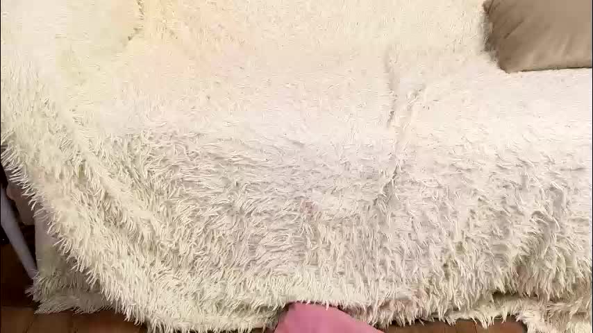 zegoi Adult Chat December 6, 2025