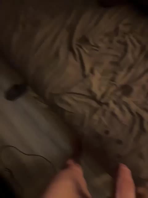 ParraTigroff Adult Chat December 6, 2025