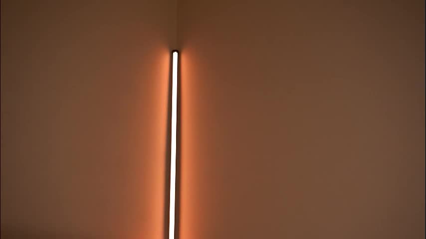 lubafox Adult Chat December 7, 2025