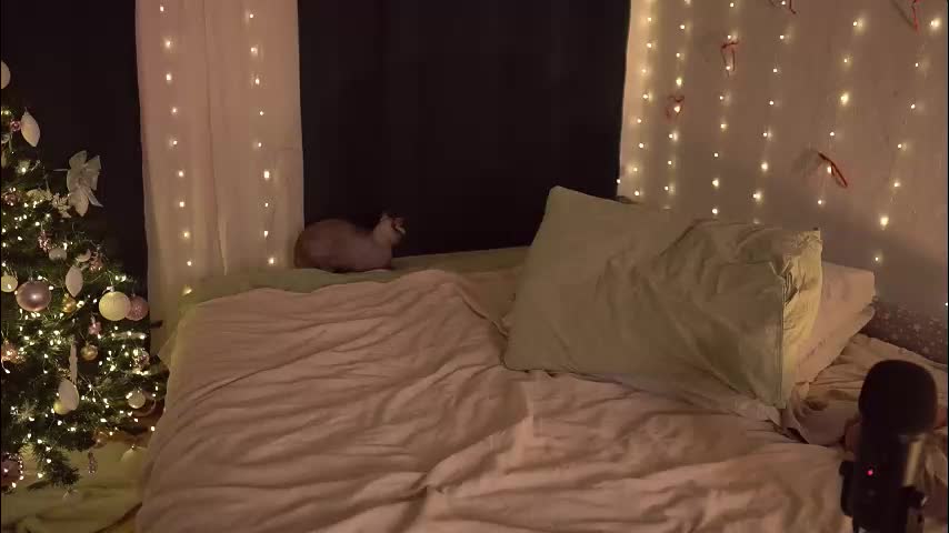 fuckingtoy_ Adult Chat December 7, 2025