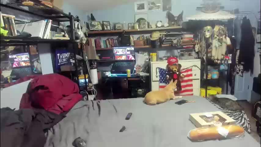 pink_black Adult Chat December 7, 2025