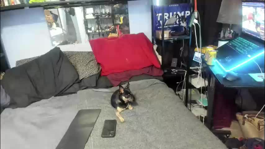 pink_black Adult Chat December 7, 2025