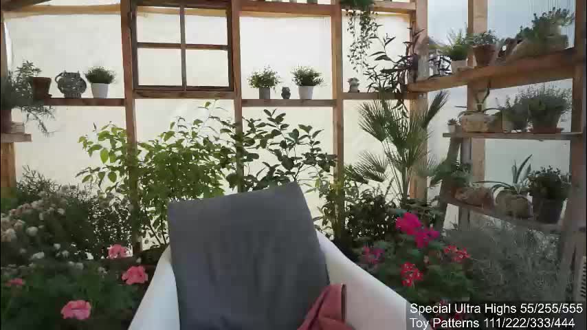 yournaughtypixie Adult Chat December 7, 2025