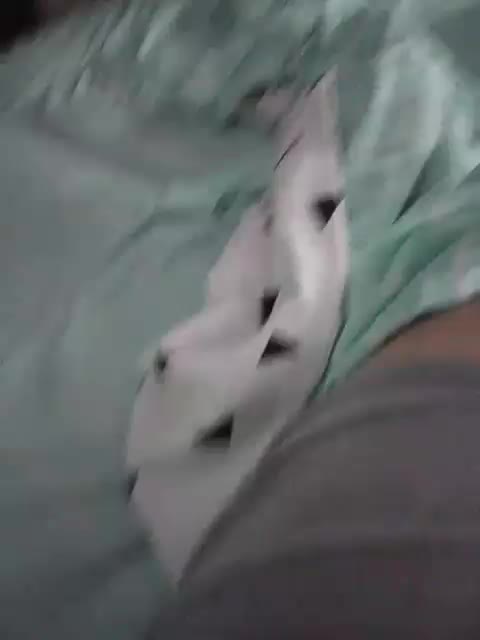 O---R Adult Chat December 7, 2025