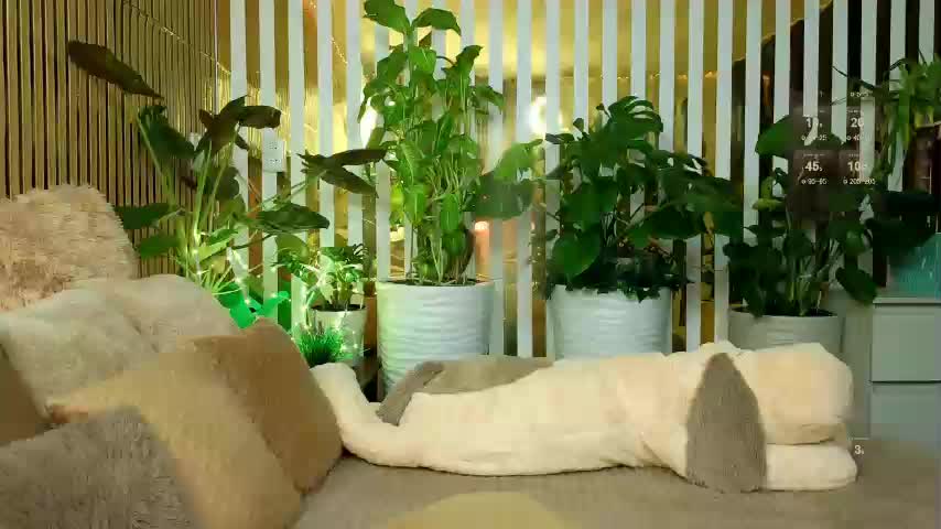 FlowwwerGirl Adult Chat December 7, 2025