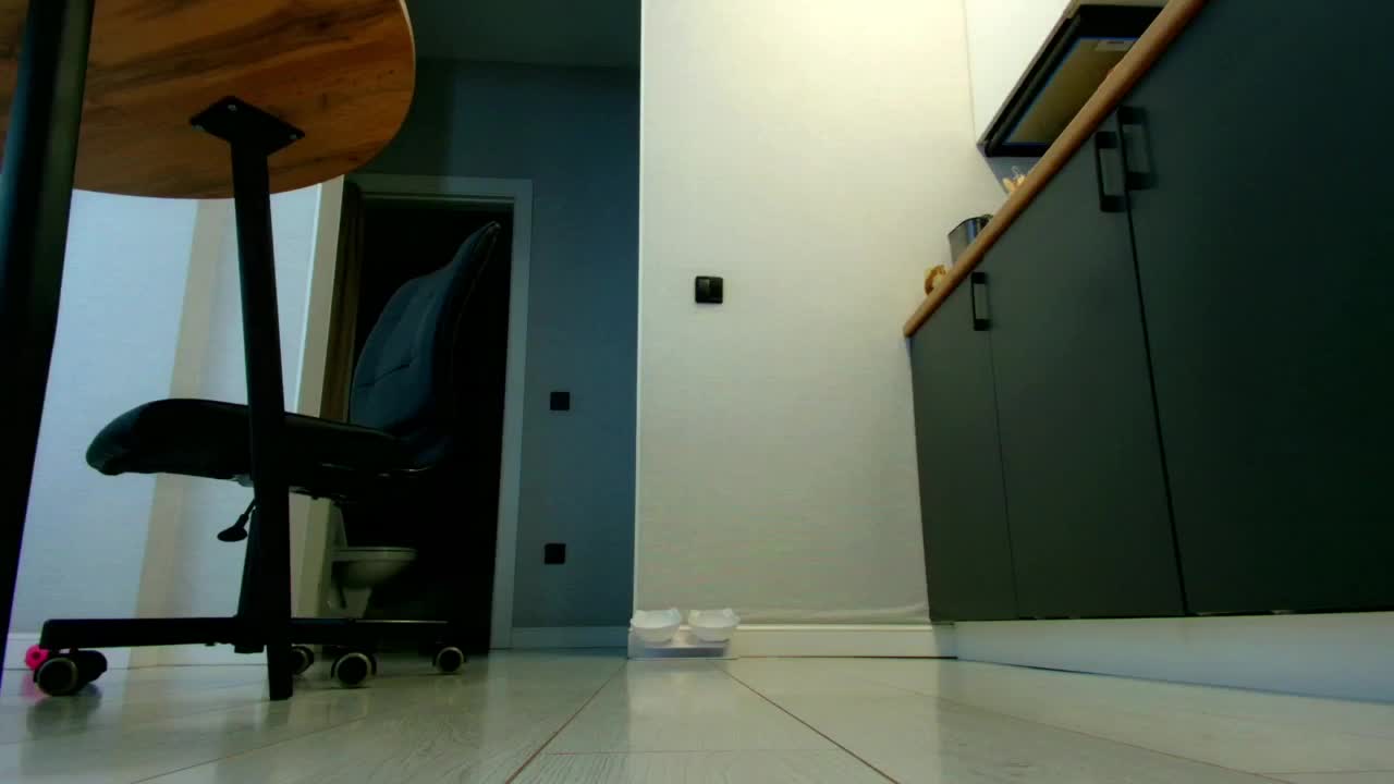 BlackAngel_ Adult Chat December 7, 2025