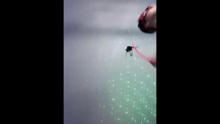 misisssex Adult Chat December 7, 2025